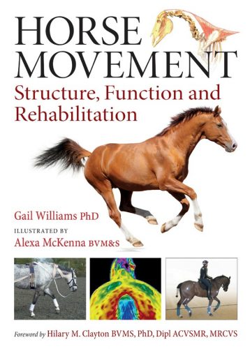 Horse Movement: Structure, Function and Rehabilitation | VetBooks