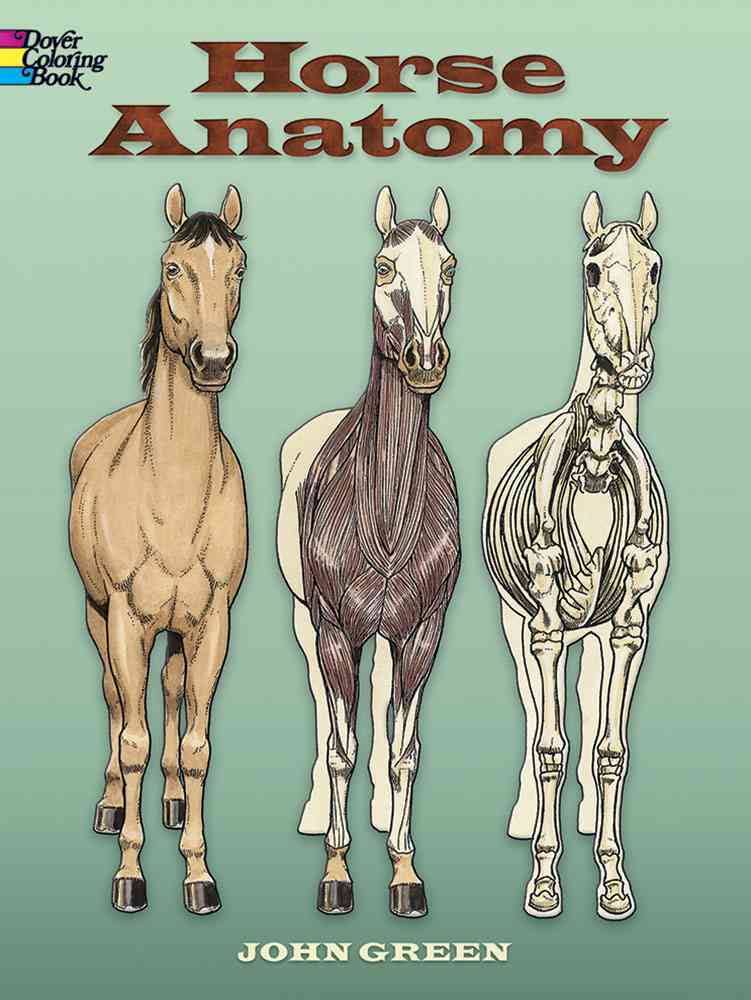 Horse Anatomy | VetBooks
