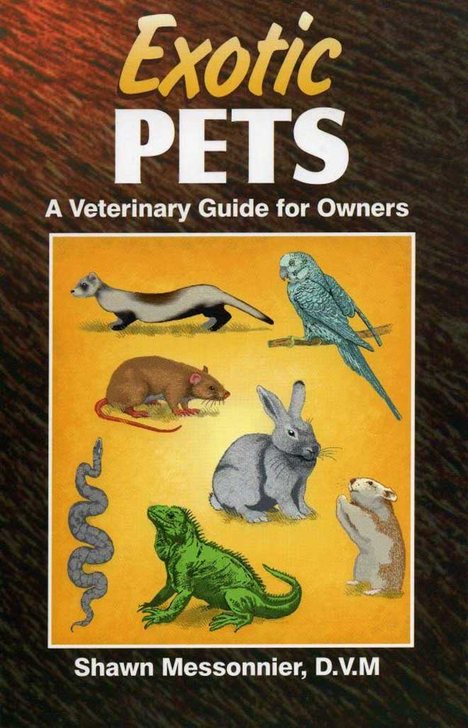 Exotic Pets: A Veterinary Guide for Owners | VetBooks