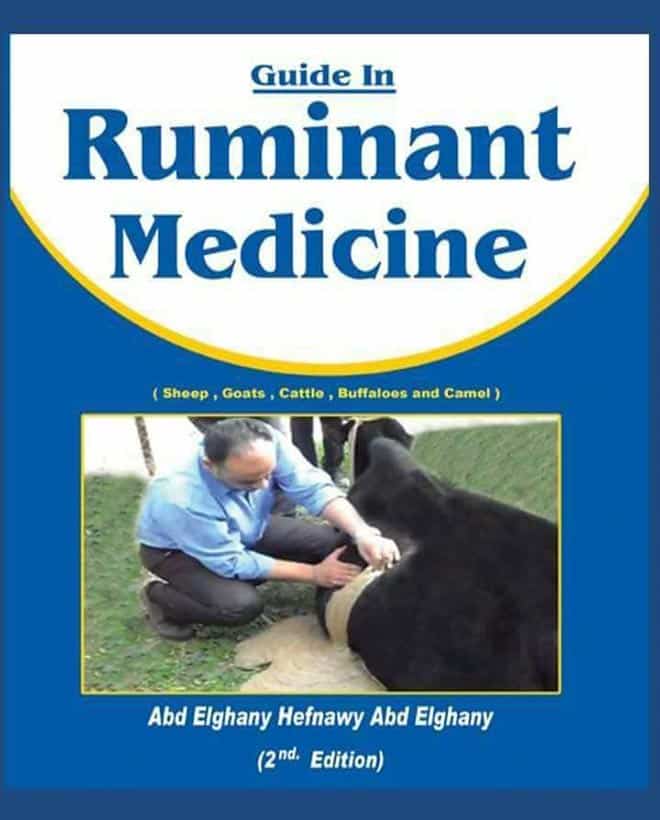 Guide in Ruminant Medicine: Sheep, Goat, Cattle, Buffaloes and Camel, 2nd  Edition | VetBooks