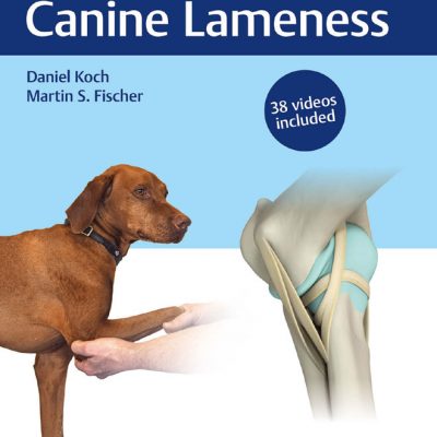 Diagnosis of Lameness in Dogs | VetBooks