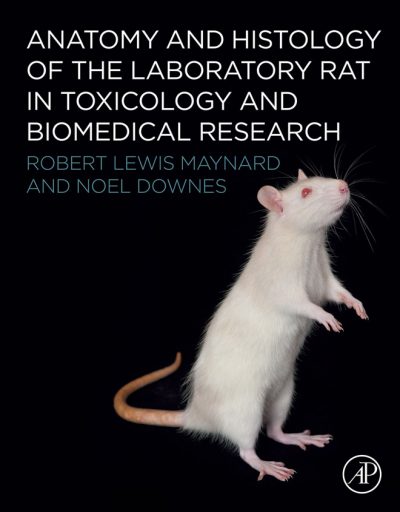 Laboratory Rats Gaining in Biomedical Research