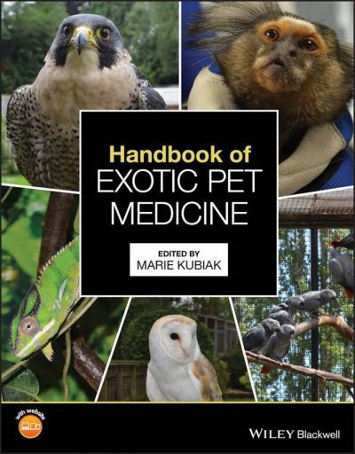 exotic veterinary medicine
