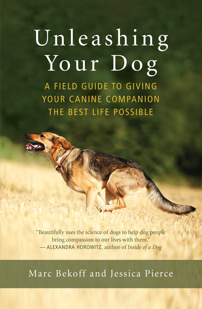 Canine Enrichment — Making Life More Fun For Your Dog, by Mary-kate, Creatures