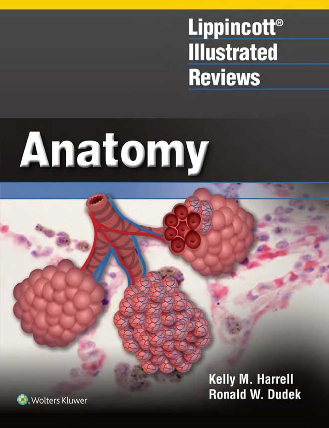 lippincott illustrated reviews biochemistry fourth edition pdf free download
