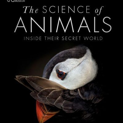 Animal science textbook pdf download mscomm32 ocx download windows 10 64 bit