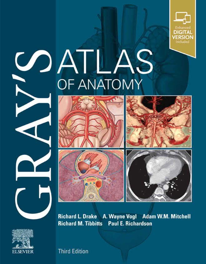 Gray’s Atlas of Anatomy, 3rd Edition | VetBooks