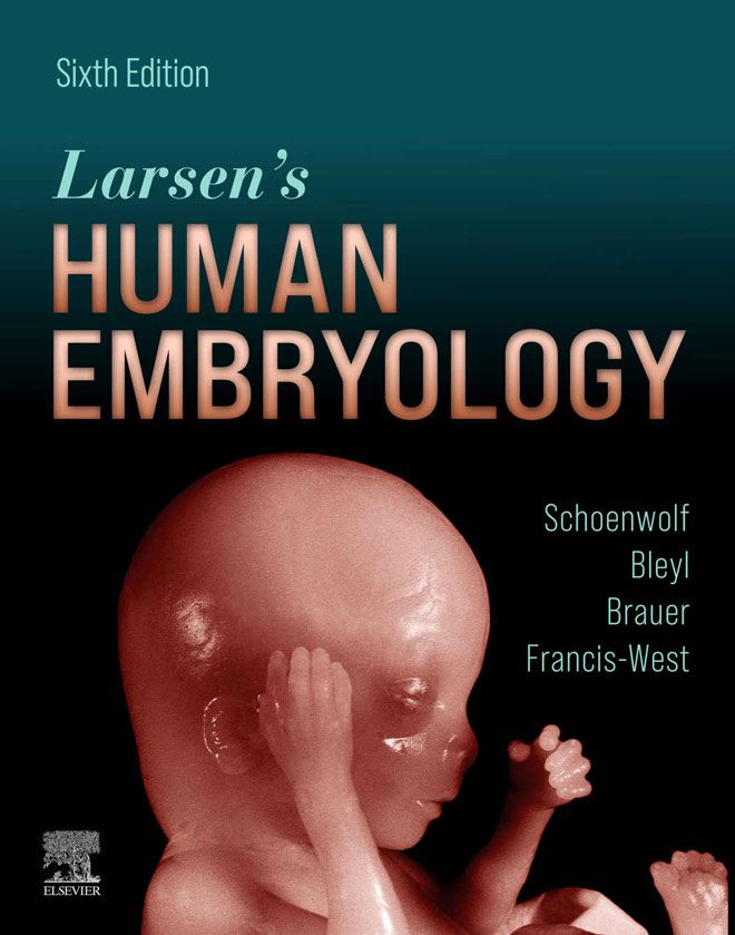 Download Larsen S Human Embryology 6th Edition Vetbooks