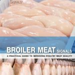 Broiler Meat Signals: A Practical Guide to Improving Poultry Meat Quality