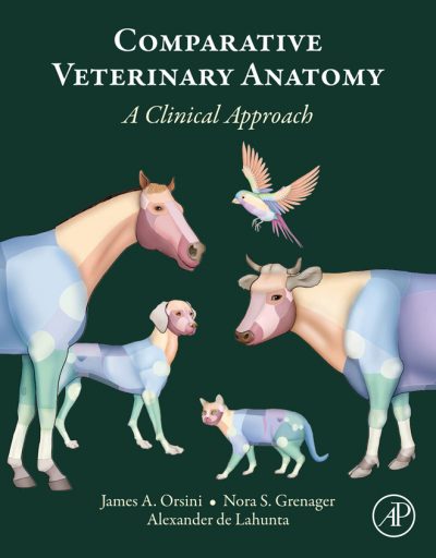 Veterinary Anatomy | VetBooks
