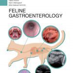Feline Gastroenterology