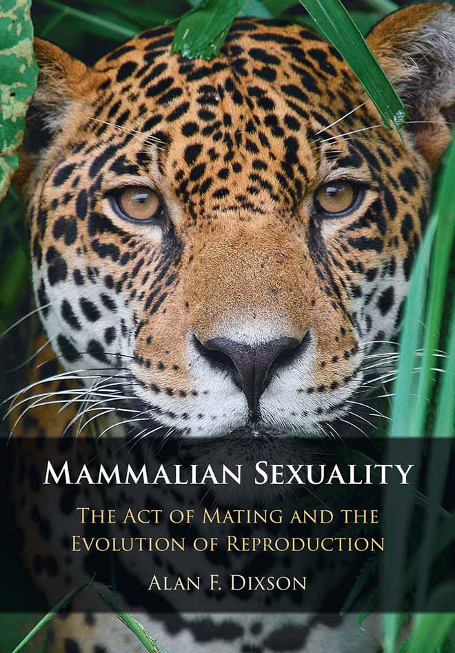 Mammalian Sexuality: The Act Of Mating And The Evolution Of ...