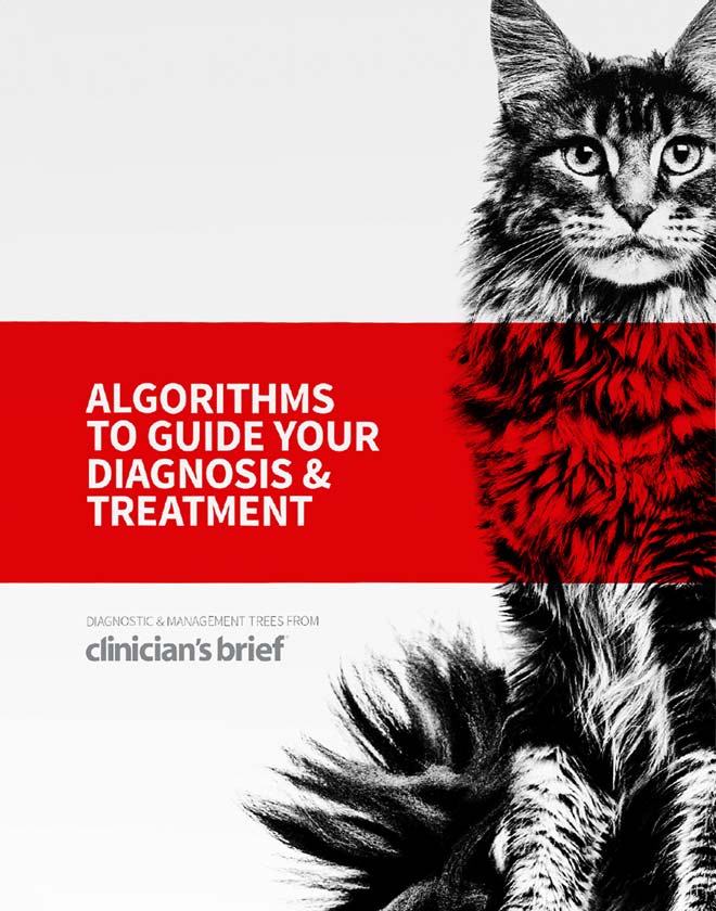 Clinician's Brief: Algorithms to Guide Your Diagnosis and Treatment