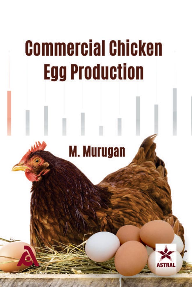 Commercial Chicken Egg Production