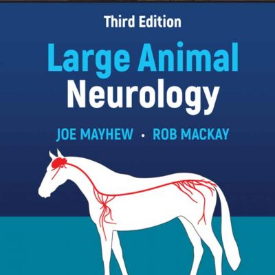 Small Animal Neurology: An Illustrated Text | VetBooks