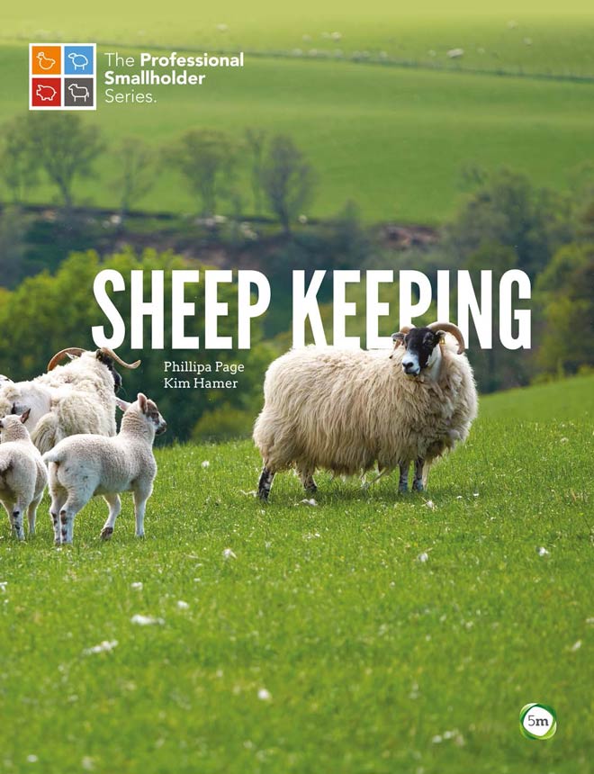 Sheep keep. Sheep keep hand mobile.