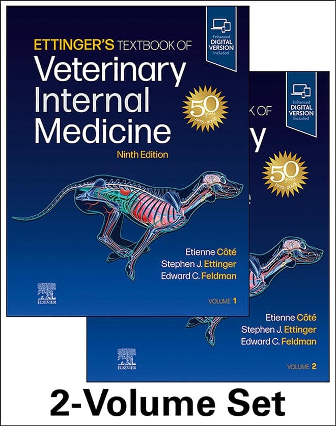 Internal medicine best sale veterinarian near me