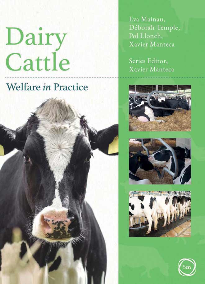 Dairy Cattle Welfare in Practice | VetBooks